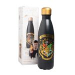 Botella Metálica Hot&cCold 500ML Hogwarts Harry Potter