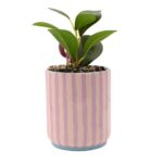Maceta Ángel Stitch con planta artificial de cerámica rosa - Imagen 4