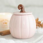 Quemador Calabaza Rosa Corazones